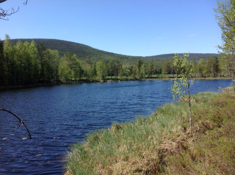 Fil:Lintjønna (Støa).jpg