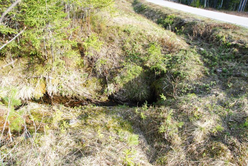 Fil:Drekkarkjelda ved Nyengbakka.jpg
