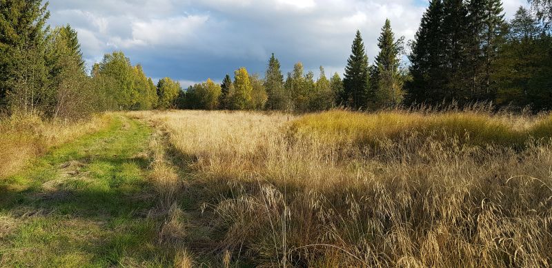 Fil:Gammelperøya.jpg
