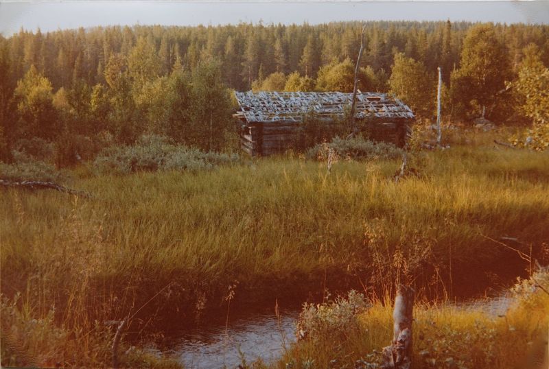 Fil:Utslått ved Hovdbekken.jpg
