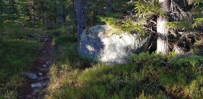 Fil:Kvilsten.jpg