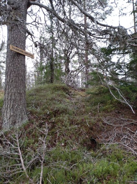Fil:Tjurrudalsbrenna.jpg
