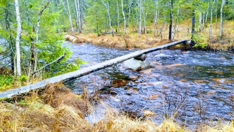 Fil:Vestergrøna2.jpg
