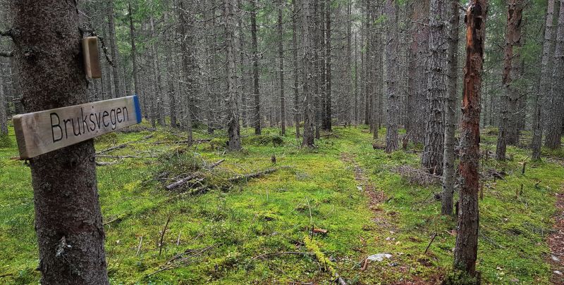 Fil:Bruksvegen.jpg