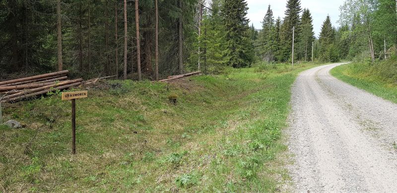 Fil:Grasmoren4.jpg