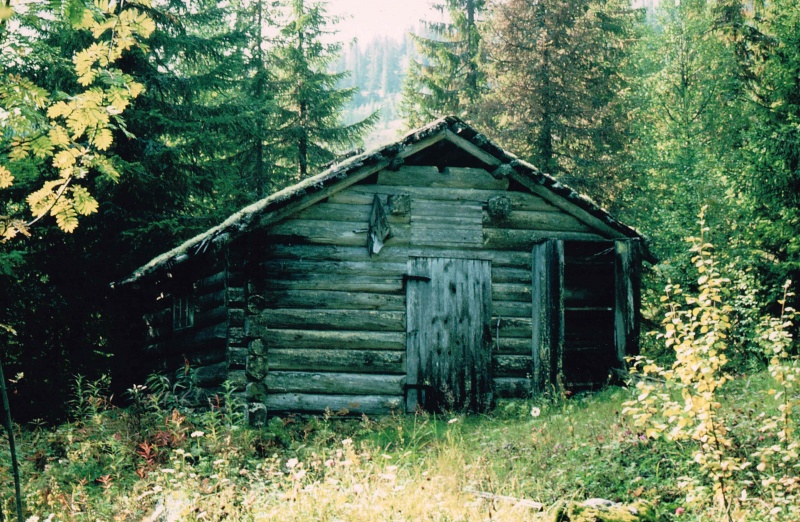 Fil:Stordalskoia.jpg