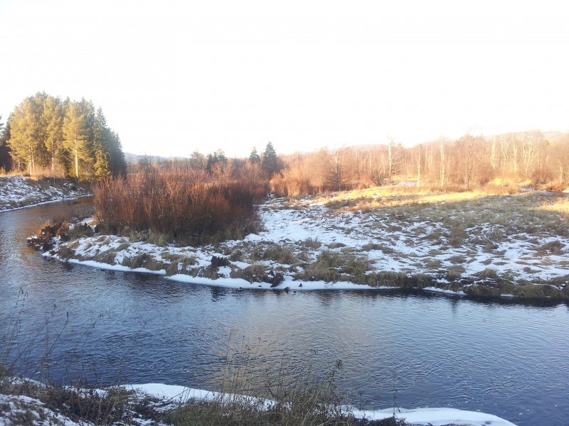 Fil:Langholmevja.jpg