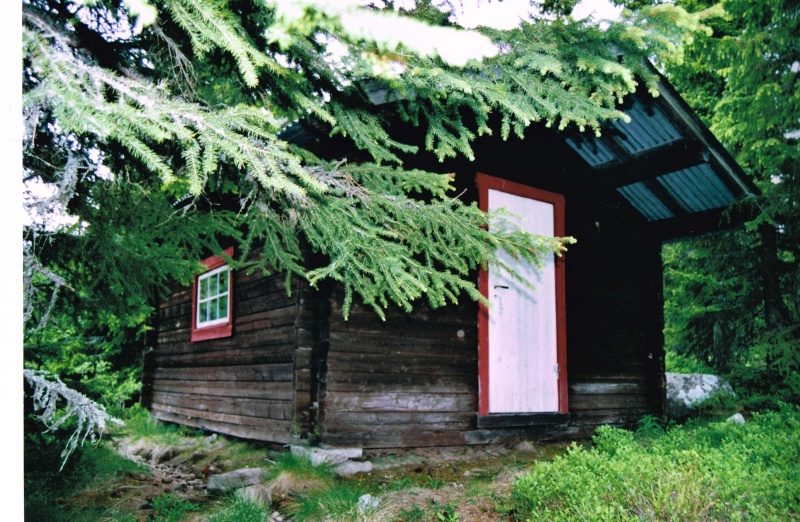 Fil:Litlåskoia.jpg
