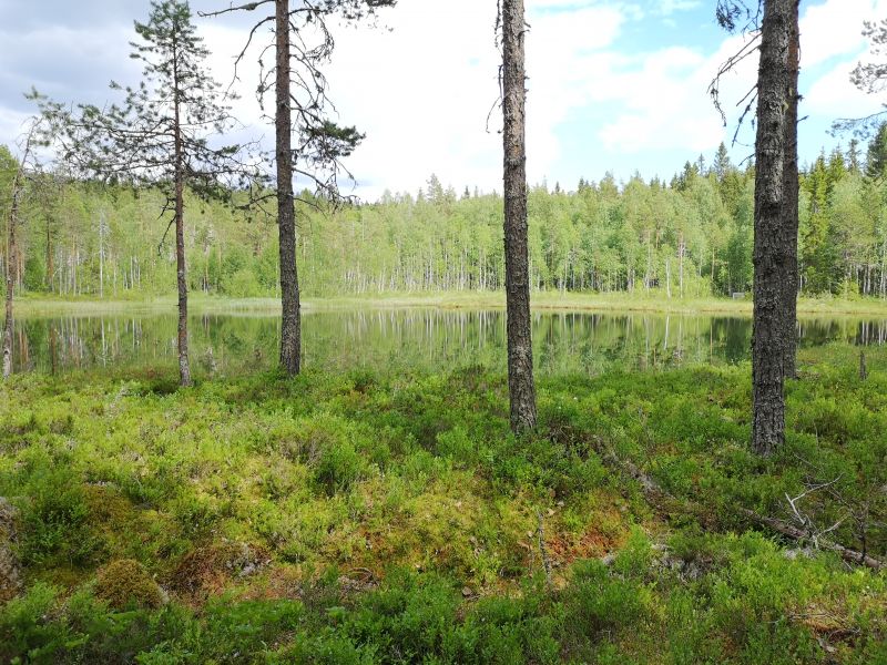 Fil:Ormstrandtjernet.jpg