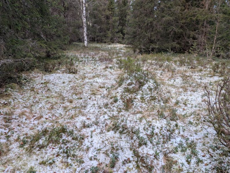 Fil:Bjønnbekken ljørkoietomt2.jpg