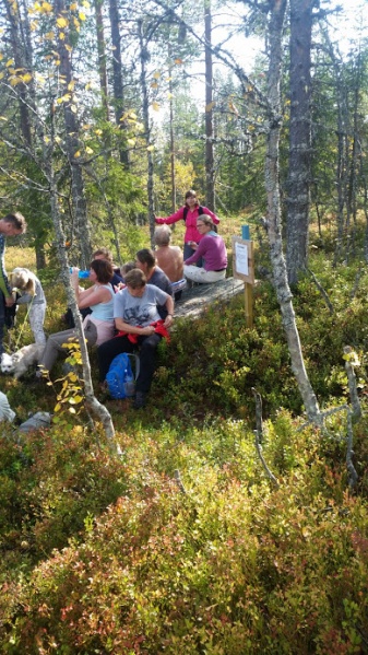 Fil:Lortsetervegen kvilsten nedre.jpg