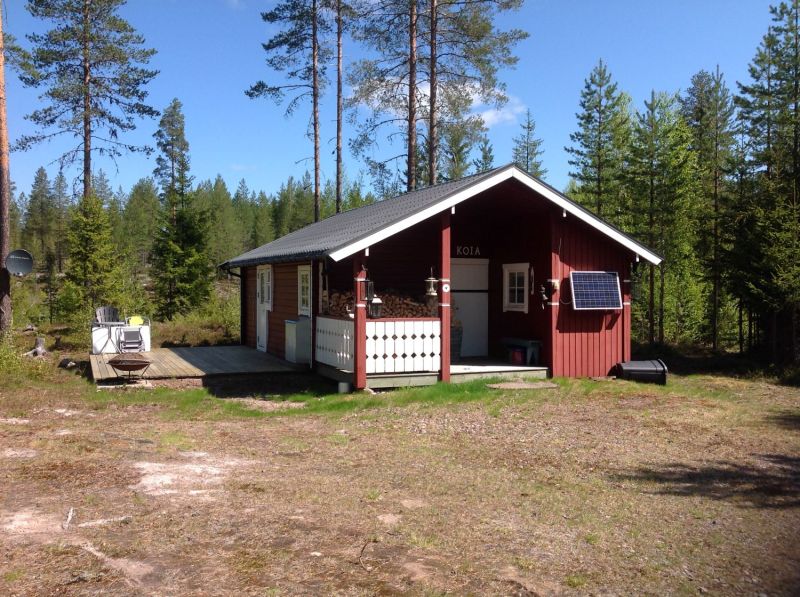 Fil:Flersjøkoia.jpg