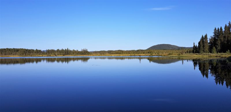 Fil:Grønsjøen1.jpg