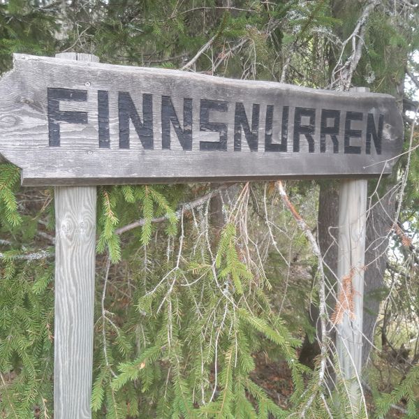 Fil:Finnsnurren 1.jpg