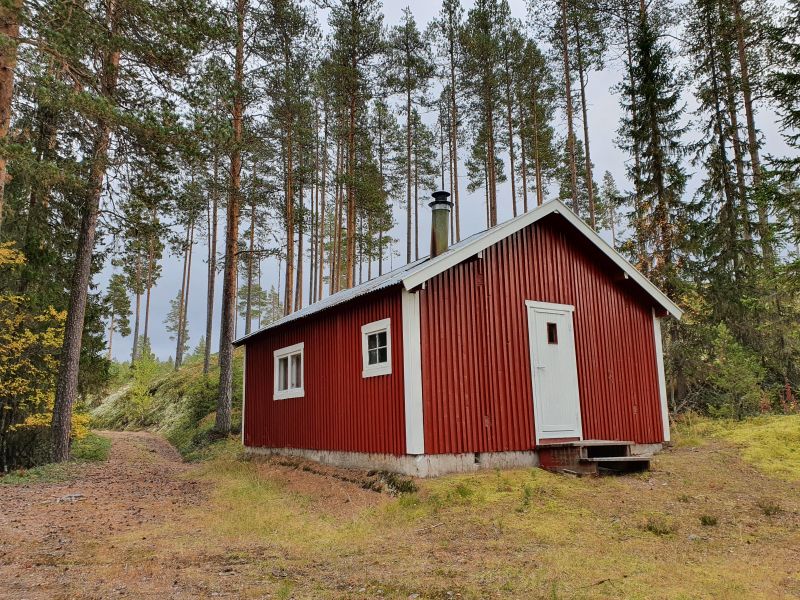 Fil:Nesvollbekkdammen ytre. Damkoia.jpg