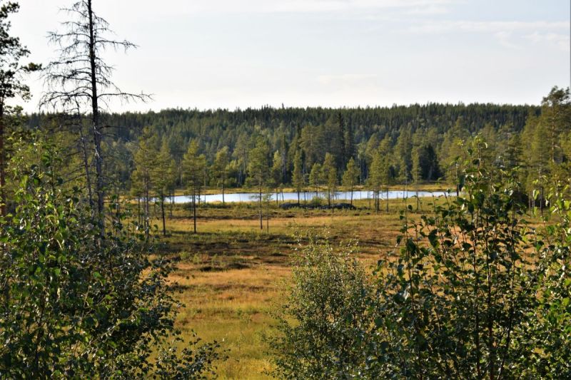 Fil:Gåstjønna (Slettås).jpg