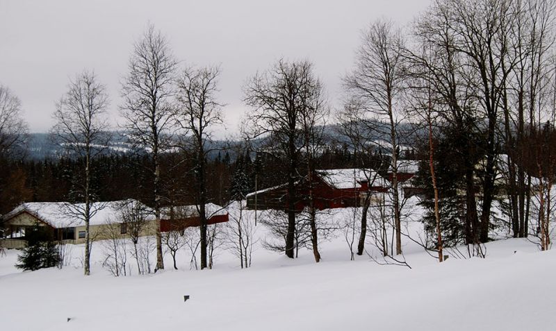 Fil:Solås.jpg