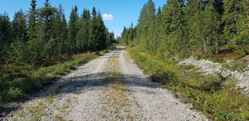 Fil:Oleavegen1.jpg