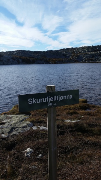 Fil:Skurufjelltjønna.jpg