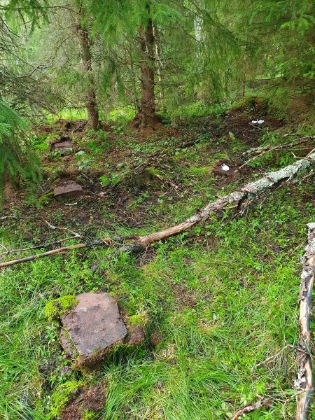 Fil:Fiskehølmyra-Slåttmyra.jpg