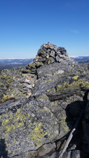 Fil:Kvalptjernhøgda.jpg