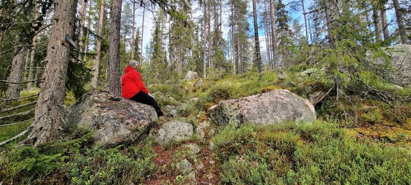 Fil:Kvilstena.jpg
