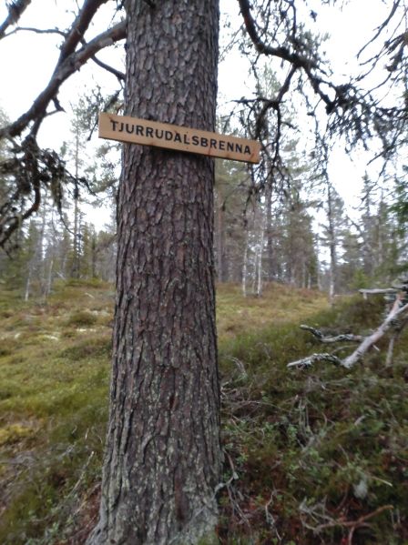 Fil:Tjurrudalsbrenna2.jpg