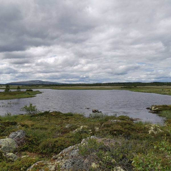 Fil:Søndre Metsjøen.jpg