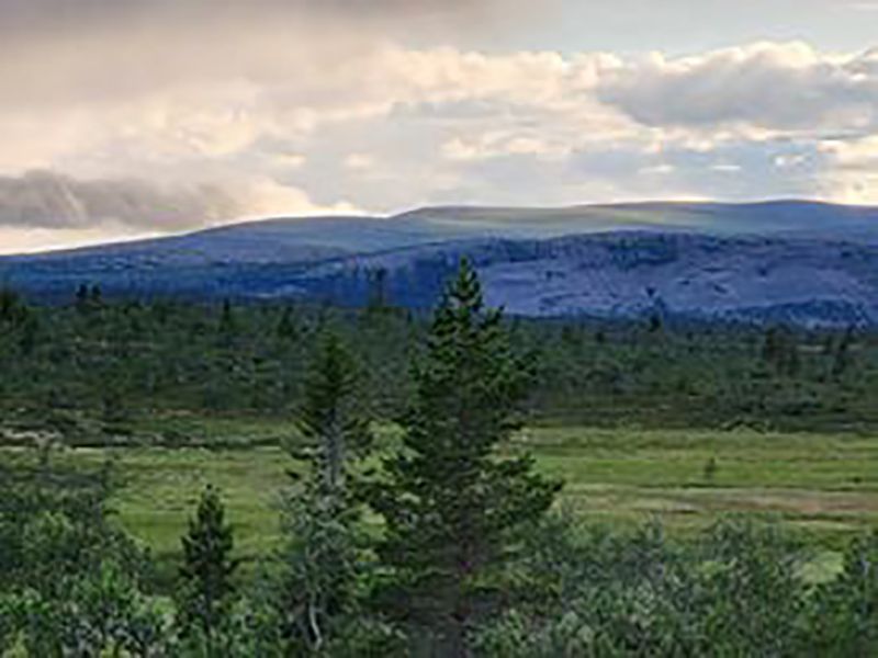 Fil:Bitteråsen 2.jpg