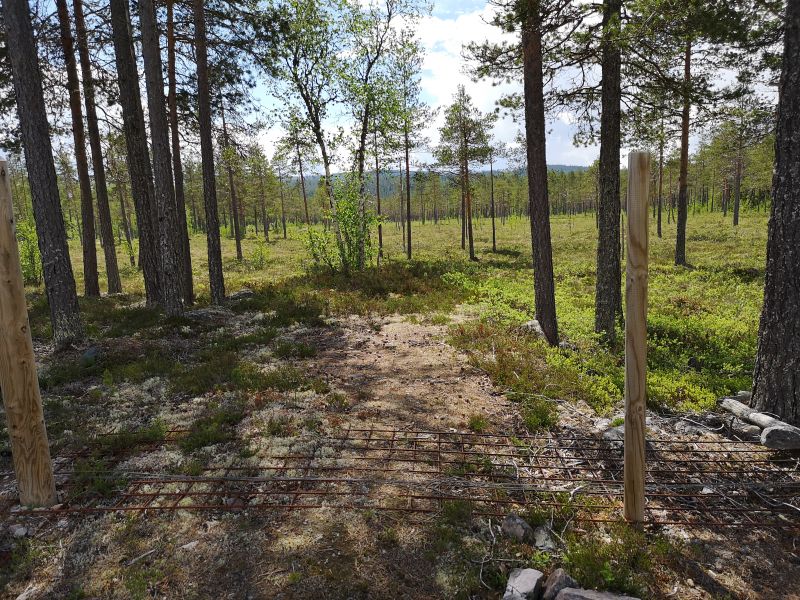 Fil:Mårbekkmyra.jpg