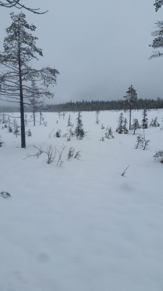 Fil:Vålbekkjølen.jpg