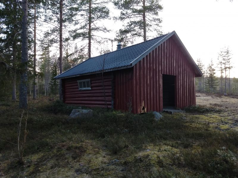 Fil:Barkbrødmyrkoia.jpg