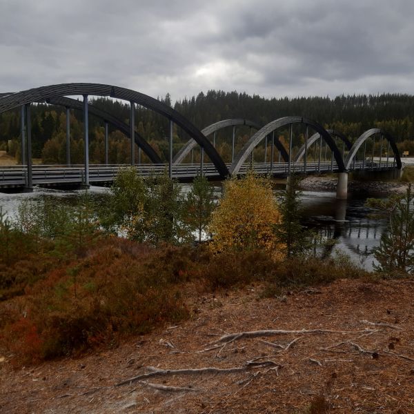 Fil:Nye Nybergsund bru.jpg