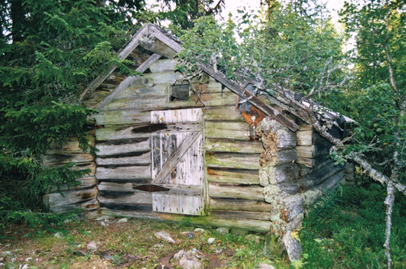 Fil:Litlkoia 2.jpg