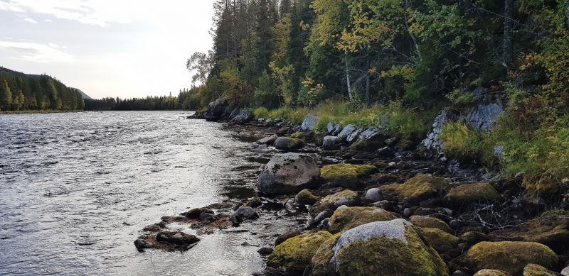Fil:Kjeldskjæra.jpg