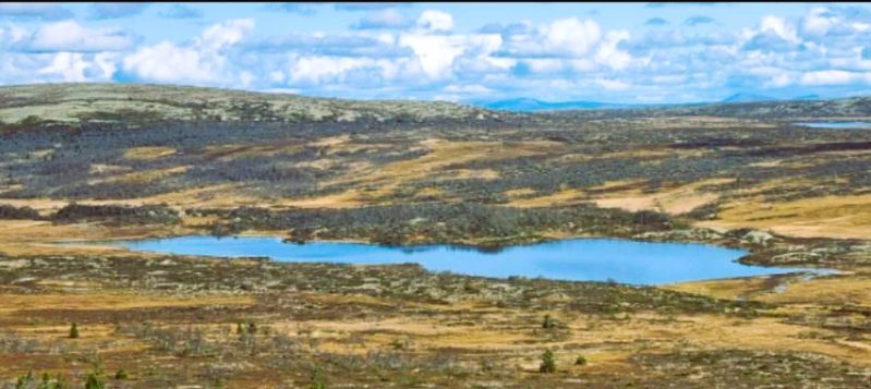 Fil:Lillerøsjøen 2.jpg