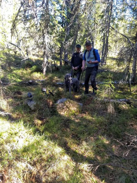 Fil:Ola Nordlikoietomta 1.jpg