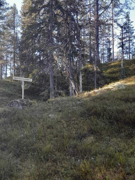 Fil:Hesthuvvuskøra.jpg