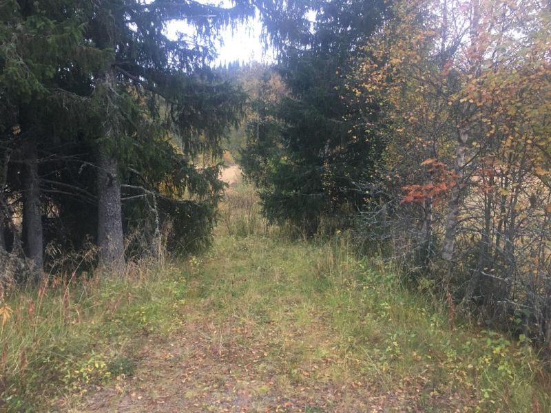 Fil:Guttua (Eltdalen).jpg