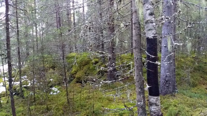 Fil:Gamle Gjervollbrua.jpg