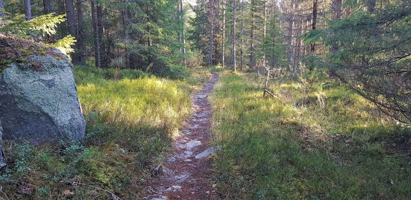 Fil:Eltdalen sommerkirkeveg.jpg