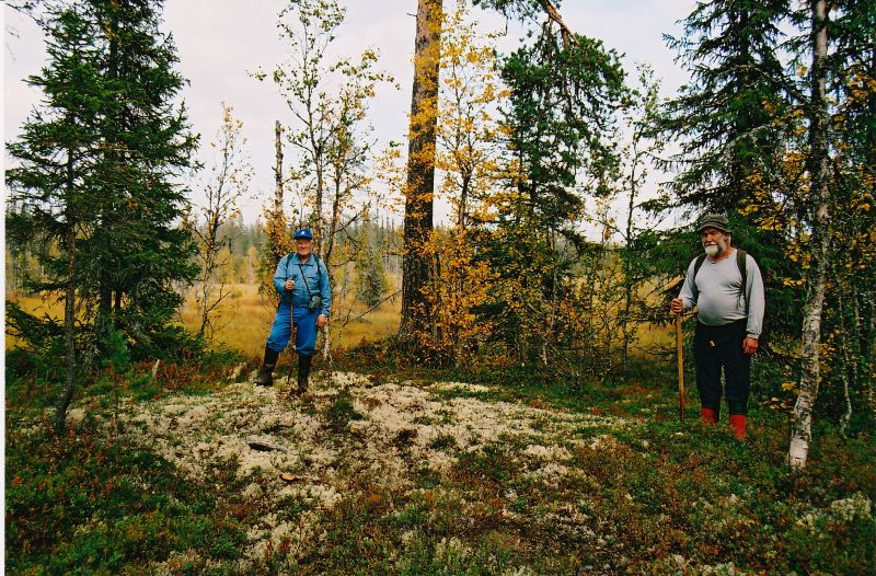 Fil:Neby 1.jpg