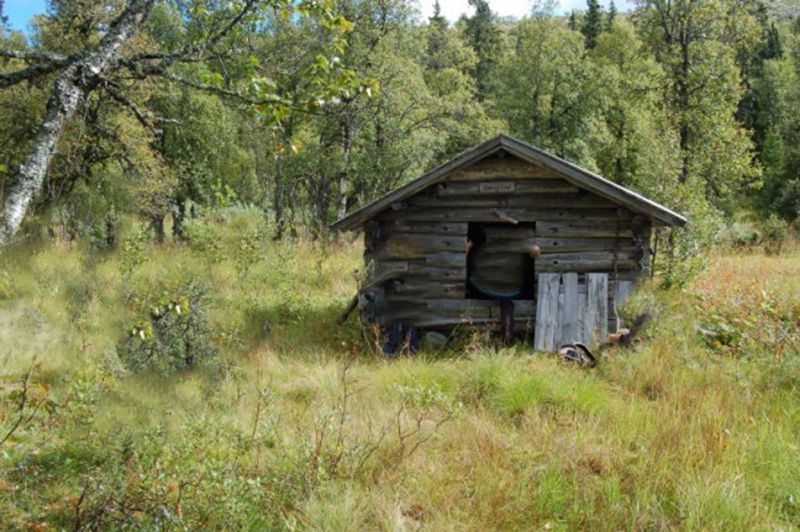 Fil:Mjølbekkløa-Bjønngolvet.jpg