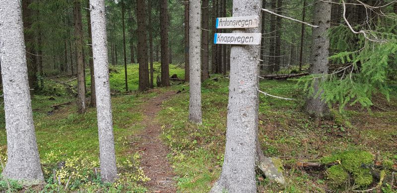 Fil:Antonsvegen.jpg