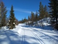 Miniatyrbilde av versjonen fra 11. mar. 2018 kl. 11:10