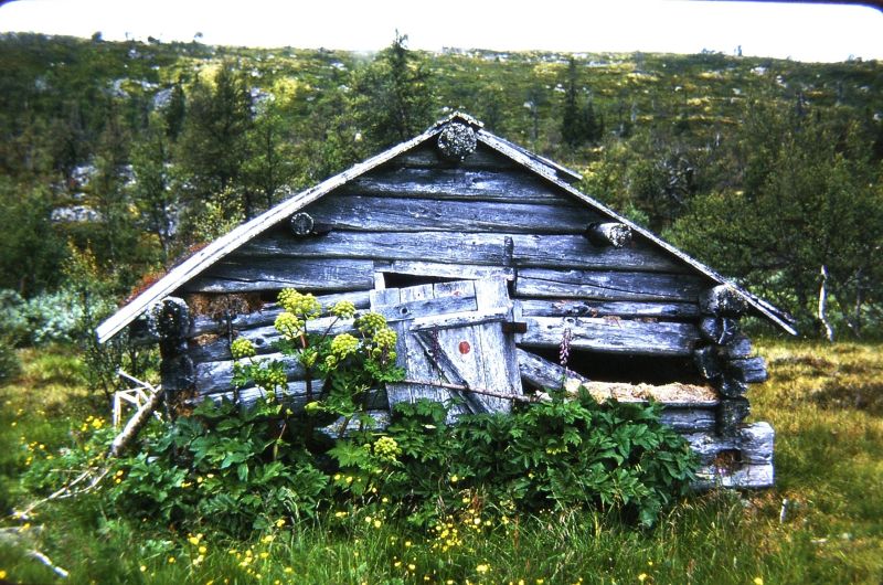 Fil:Røninga ved Kvisla1.jpg