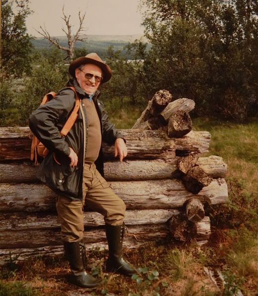 Fil:Svenskrønningen nord for Drevsjøen.jpg