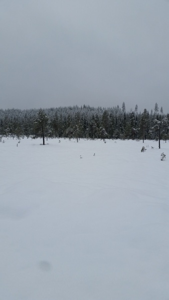 Fil:Vålbekkåsen.jpg