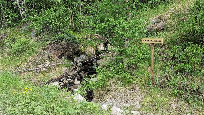 Fil:Skaftkjelda3.jpg