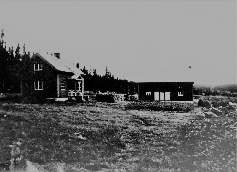 Fil:Hollstad.jpg